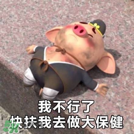 豬小屁表情包是什么？豬小屁表情包為什么這么火？