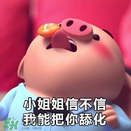 豬小屁表情包是什么？豬小屁表情包為什么這么火？