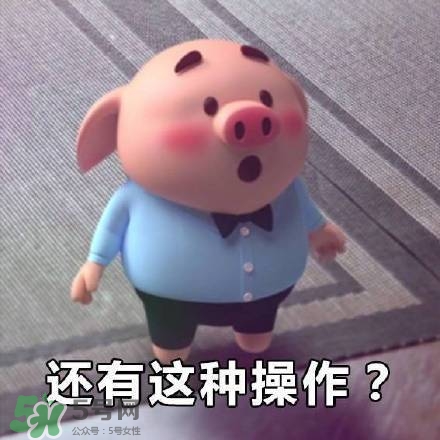 豬小屁表情包是什么？豬小屁表情包為什么這么火？