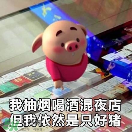 豬小屁表情包是什么？豬小屁表情包為什么這么火？