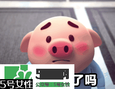 豬小屁多少錢一個(gè)？豬小屁哪里可以買到