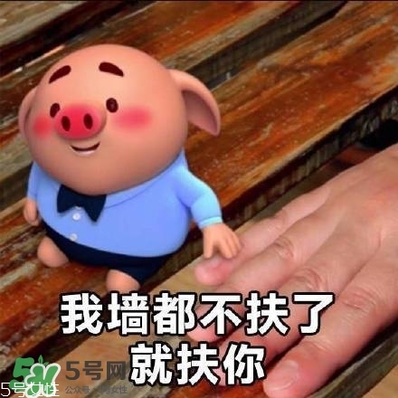 豬小屁多少錢一個(gè)？豬小屁哪里可以買到