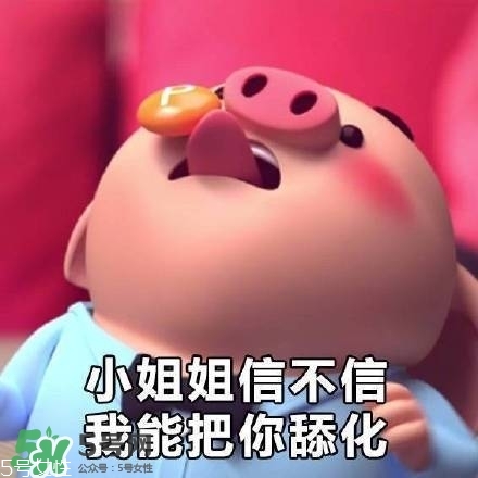 豬小屁多少錢一個(gè)？豬小屁哪里可以買到