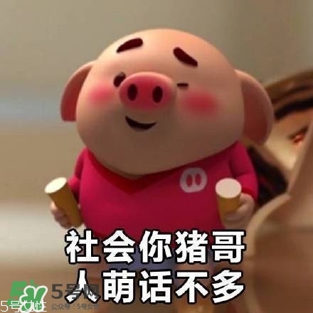 豬小屁多少錢一個(gè)？豬小屁哪里可以買到