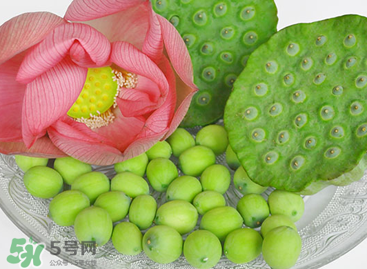 蓮蓬是水果嗎？蓮蓬是水果還是蔬菜？