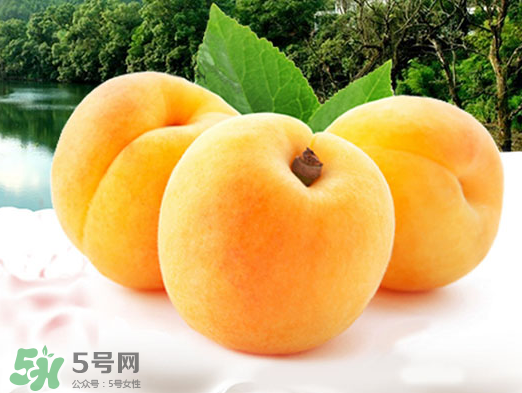 黃桃是酸性還是堿性？黃桃罐頭是酸性還是堿性？