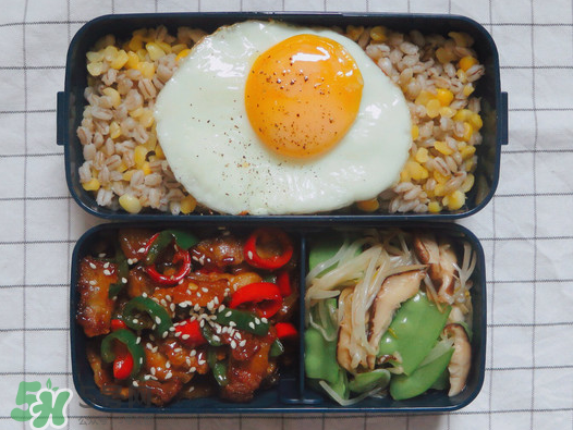 夏天用保溫盒帶飯會壞嗎？夏天能用保溫盒帶飯嗎？