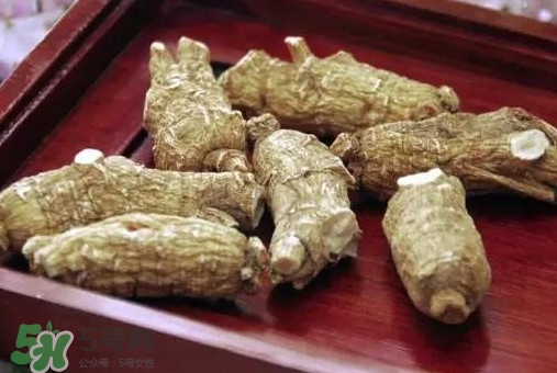 西洋參補(bǔ)腎嗎？西洋參適合什么季節(jié)吃