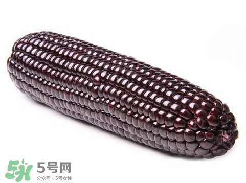 紫玉米會掉色嗎？紫玉米怎么會掉色？