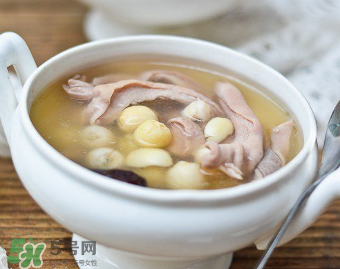 新鮮蓮子可以燉湯嗎？新鮮蓮子怎么煲湯？