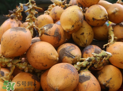 椰子什么時(shí)候成熟？椰子什么時(shí)候吃最好