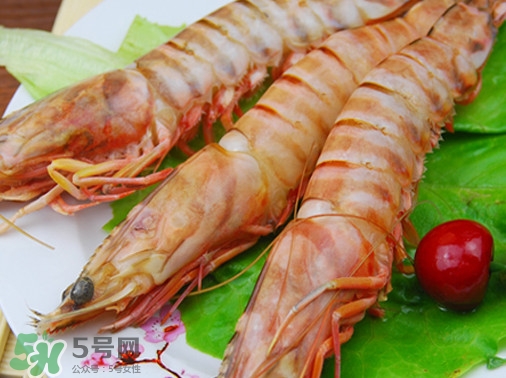 活的斑節(jié)蝦多少錢一斤？野生斑節(jié)蝦多少錢一斤