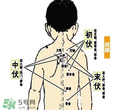 三九灸和三伏灸有什么區(qū)別？做完三伏灸要注意什么？
