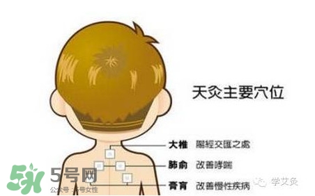 三伏灸灸哪里？三伏灸是每天都灸嗎