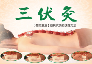 三伏灸灸哪里？三伏灸是每天都灸嗎