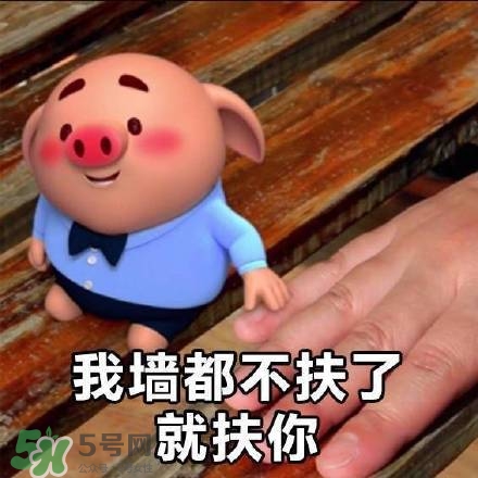 豬小屁表情包是什么？豬小屁表情包為什么這么火？