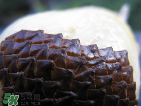 蛇皮果能生吃嗎？蛇皮果能放冰箱嗎？