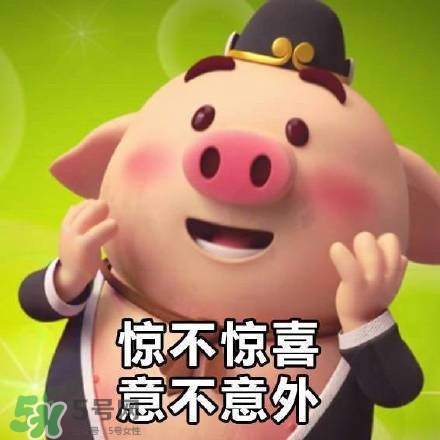 豬小屁表情包是什么？豬小屁表情包為什么這么火？