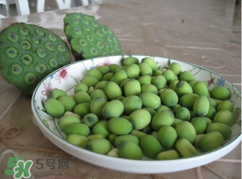新鮮蓮子多少錢(qián)一斤？新鮮蓮子哪里有賣(mài)？