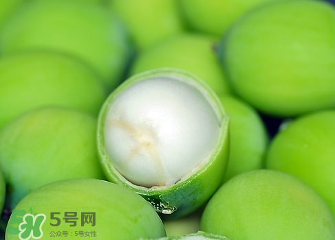 新鮮蓮子多少錢(qián)一斤？新鮮蓮子哪里有賣(mài)？