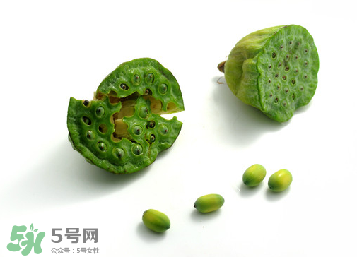 新鮮蓮子可以直接吃嗎？生蓮子可以直接吃嗎？