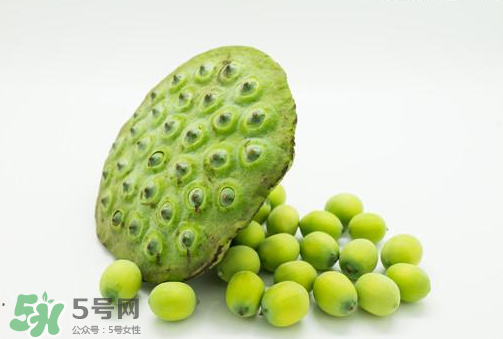 新鮮蓮子可以直接吃嗎？生蓮子可以直接吃嗎？