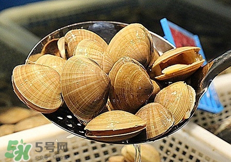 黃蜆子和花蜆子哪個(gè)好？黃蜆子和花蜆子的區(qū)別