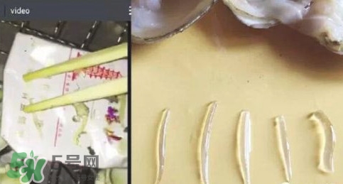 蜆子肉里白色長條東西是什么？蜆子肉里面透明的能吃嗎