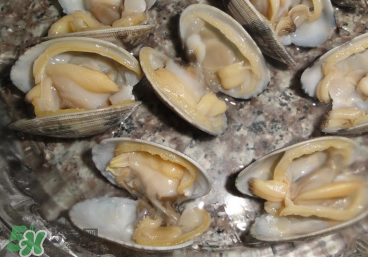 蜆子死了還能吃嗎？蜆子死了多久不能吃