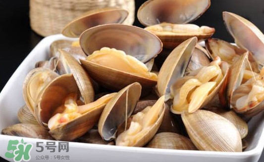 黃蜆子多少錢一斤？河蜆子多少錢一斤
