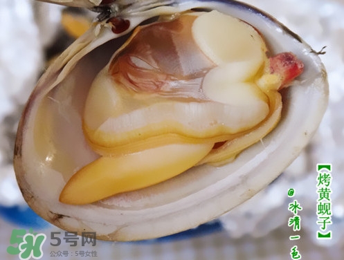 蜆子什么樣的是活的？蜆子開口是死還是活