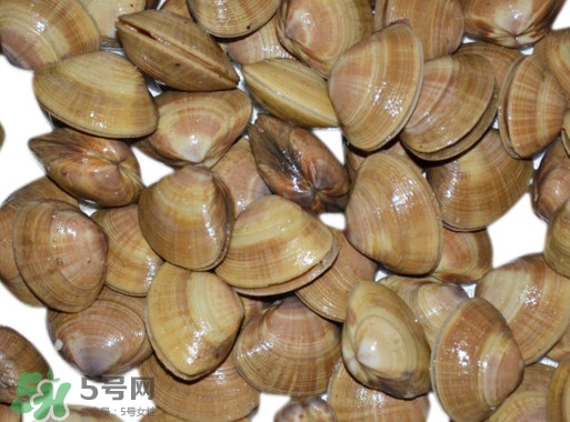 蜆子是花甲嗎？蜆子是海鮮嗎？