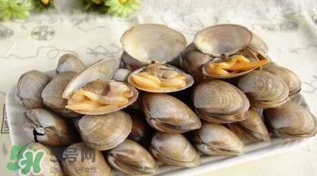 蜆子是寒性的嗎？蜆子什么人不能吃