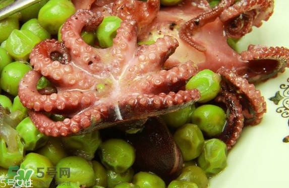 八爪魚多少錢一斤？章魚多少錢一斤