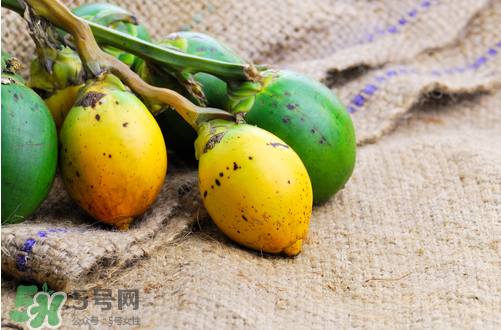 檳榔什么味道？正宗的檳榔是什么味道？