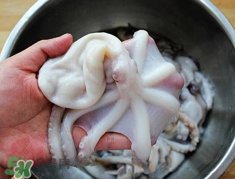 八帶魚怎么洗？八爪魚怎么處理干凈