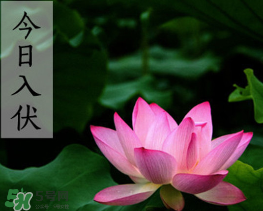 2017年頭伏是幾月幾號(hào)？2017年入伏第一天是幾月幾號(hào)？