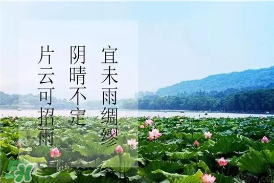 2017年幾月幾號入伏？入伏是幾月幾號2017？