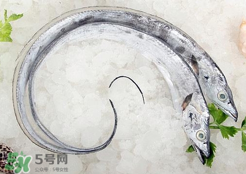 帶魚是深海魚嗎？帶魚是海鮮嗎