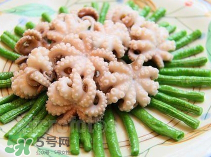 八爪魚頭里面的能吃嗎？八爪魚的墨汁可以吃嗎