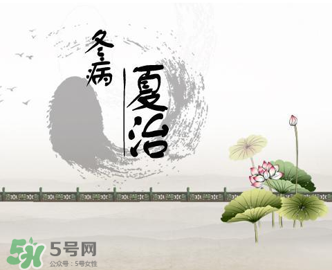 2017年三伏貼什么時候貼？2017年三伏貼貼幾天？
