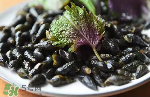 紫蘇是什么植物？紫蘇是發(fā)物嗎？