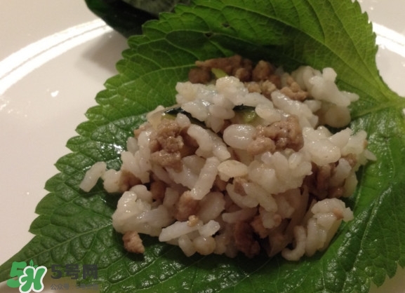 紫蘇和羅勒是一種東西嗎？紫蘇葉對(duì)人體有什么好處