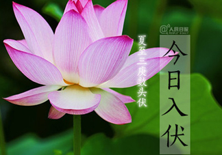 2017年幾月幾號入伏？入伏是幾月幾號2017？