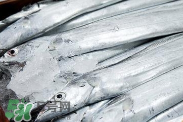 帶魚是深海魚嗎？帶魚是海鮮嗎