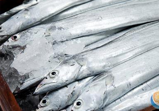 帶魚是深海魚嗎？帶魚是海鮮嗎