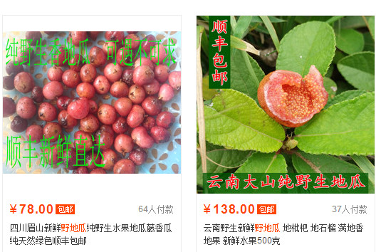 野地瓜哪里可以買到？哪個地方有種植野地瓜的
