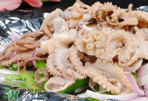 八爪魚是魷魚嗎？八爪魚是章魚嗎