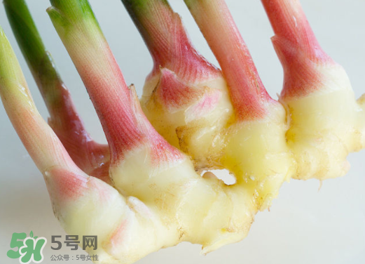 7月份可以種生姜嗎？生姜幾月份種植？