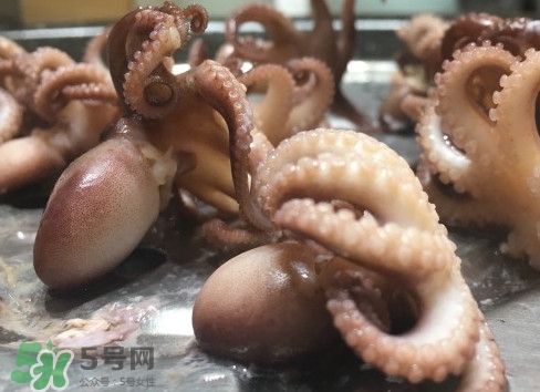 八爪魚怎么做好吃？八爪魚怎么保存